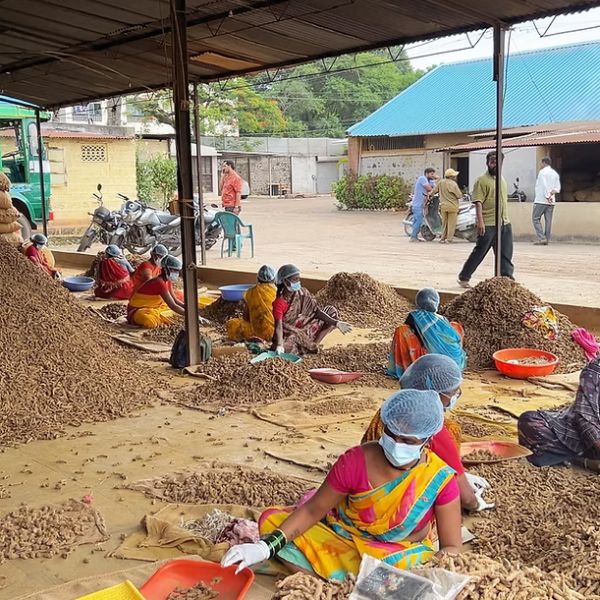 Asiatic Farmer Produce team managing agricultural sourcing and processing